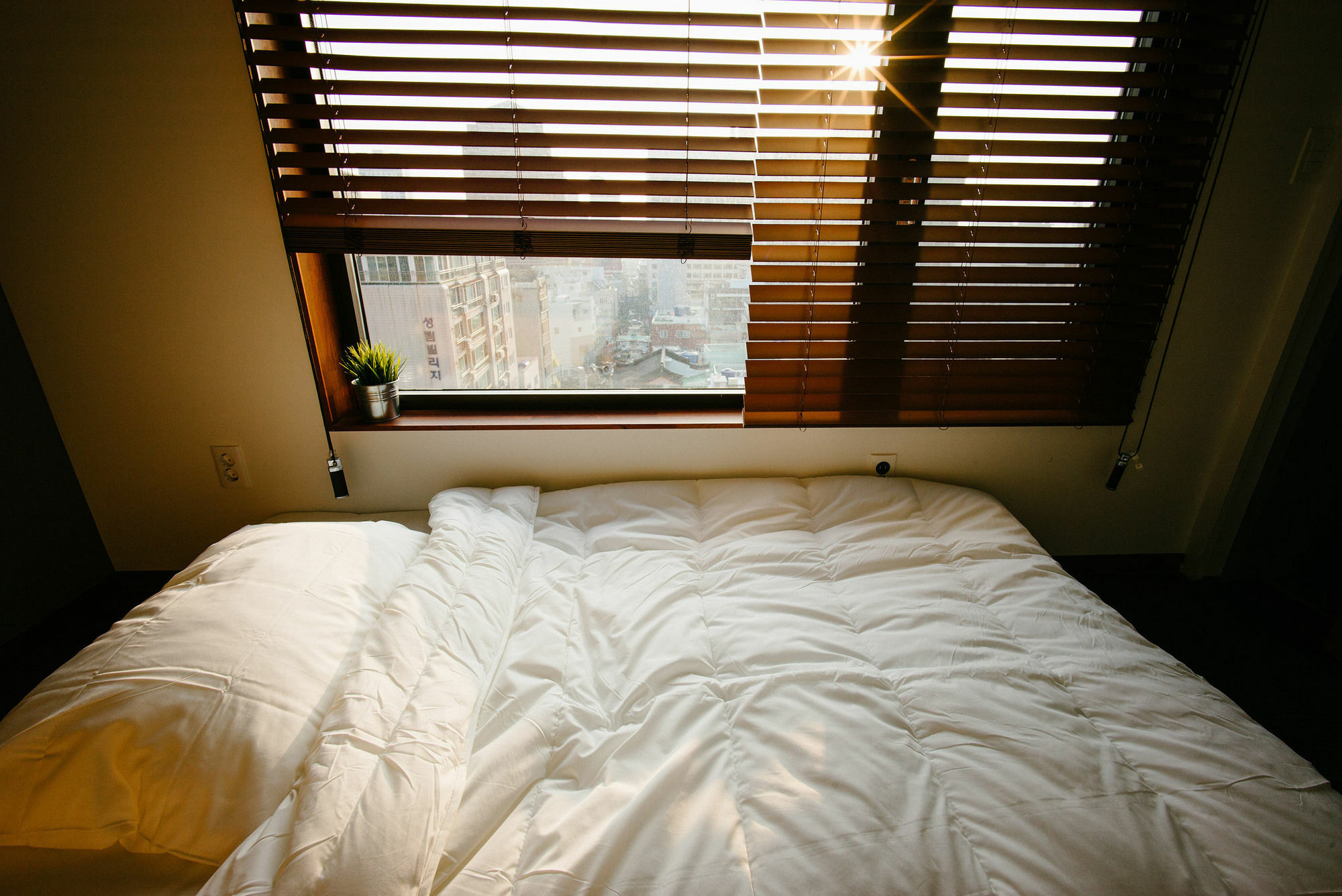 Morning Dew Guesthouse Busan Eksteriør billede